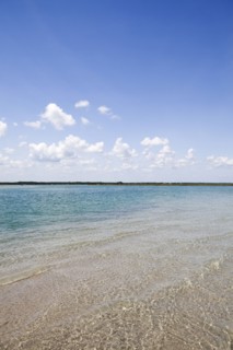Beautiful ocean landscape