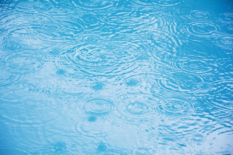 Raindrops on puddle