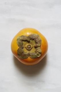 Persimmon against white background