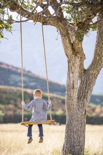 Child (4-5) sitting on swing under tree