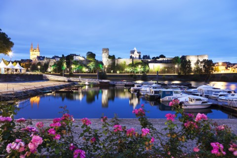 France, Pays de la Loire, Angers, Harbor by Chateau d'Angers at dusk
