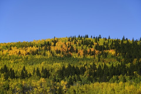 USA, Colorado, Scenic view of Kenosha Pass