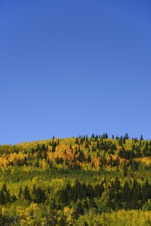 USA, Colorado, Scenic view of Kenosha Pass with blue sky