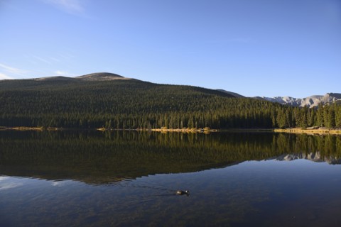 USA, Colorado, Mount Evans and forest reflecting in Echo Lake