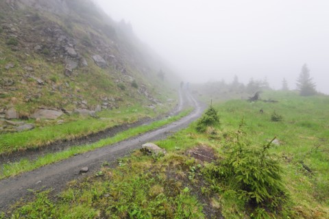 Ukraine, Zakarpattia, Rakhiv district, Carpathians, Maramures, Hiking trail in rolling landscape