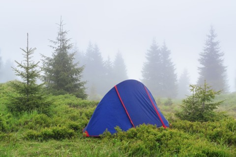 Ukraine, Zakarpattia, Rakhiv district, Carpathians, Maramures, Tent in wilderness