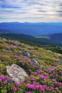 Ukraine, Ivano-Frankivsk region, Verkhovyna district, Carpathians, Chernohora, Mountain landscape on sunny day