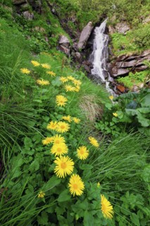 Ukraine, Ivano-Frankivsk region, Verkhovyna district, Carpathians, Dzembronskie waterfalls