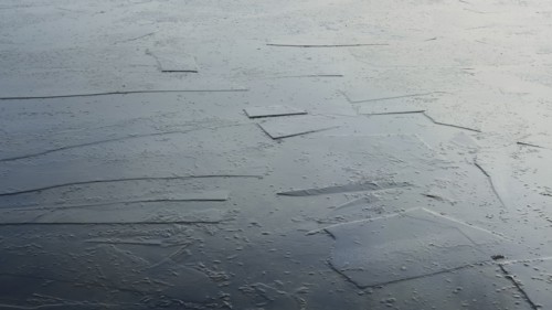 Ice sheets on water