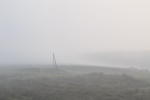 Ukraine, Dnepropetrovsk region, Novomoskovsk district, Electricity pylon standing in foggy field