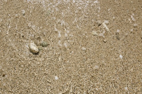 Puerto Rico, Coco Beach, Sand with stones and shells