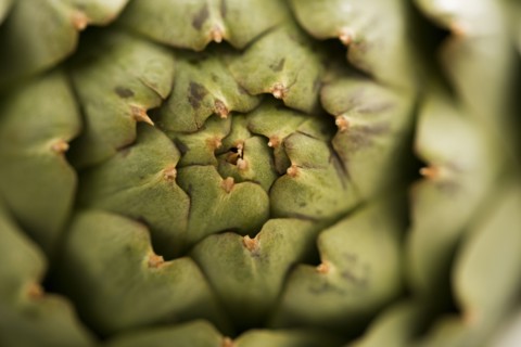 Close-up of green artichoke