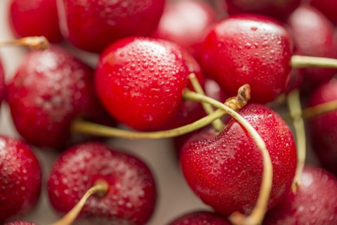 Close-up of red cherries