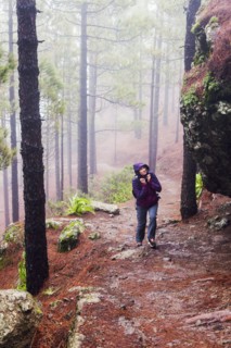 Spain, Canary Islands, Gran Canaria, Trail to Roque Nublo, Mid adult woman hiking in misty forest
