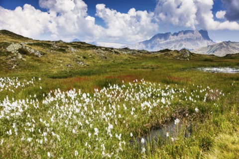 France, Auvergne-Rhone-Alpes, Trail in Reserve Naturelle de Carlaveyron