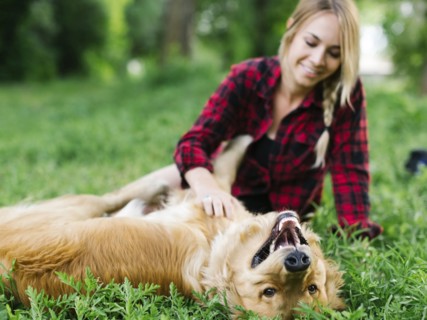 Young woman playing with golden retriever in park