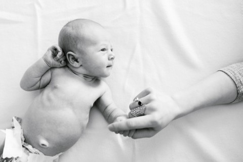 Portrait of newborn boy ( 0-1 months ) holding mother's hand