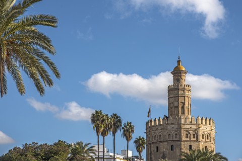 Spain, Seville, Torre Del Oro on sunny day
