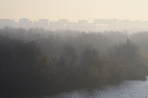 Ukraine, Dnepropetrovsk, Forest and remote city skyline at foggy dawn