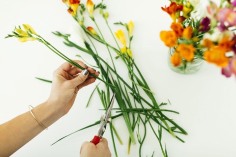 Woman cutting flowers