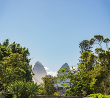 Australia, New South Wales, Sydney, Sydney Opera House behind trees