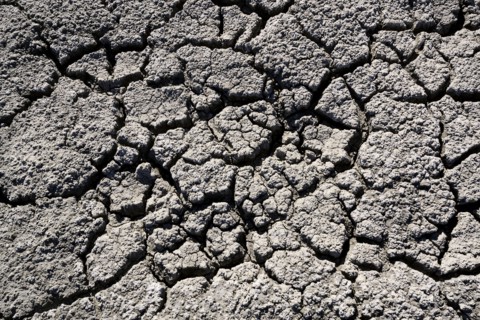 Close up of cracked dry ground