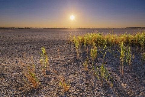 Ukraine, Dnepropetrovsk Region, Novomoskovskiy District, Lake Soleniy Lyman, Desert at sunset