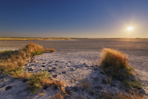 Ukraine, Dnepropetrovsk Region, Novomoskovskiy District, Lake Soleniy Lyman, Desert at sunset