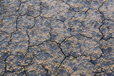 Overhead view of cracked desert