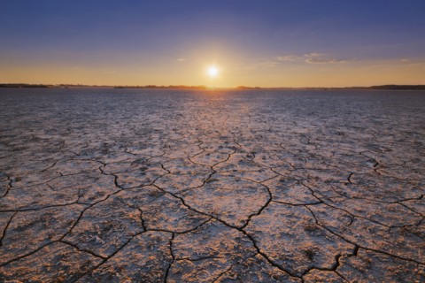 Ukraine, Dnepropetrovsk Region, Novomoskovskiy District, Lake Soleniy Lyman, Desert at sunset