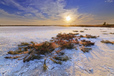 Ukraine, Dnepropetrovsk Region, Novomoskovskiy District, Lake Soleniy Lyman, Desert at sunset