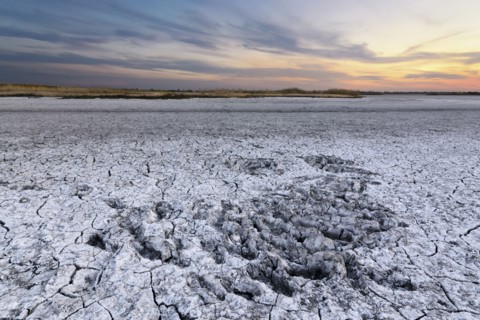 Ukraine, Dnepropetrovsk Region, Novomoskovskiy District, Lake Soleniy Lyman, Desert at sunset