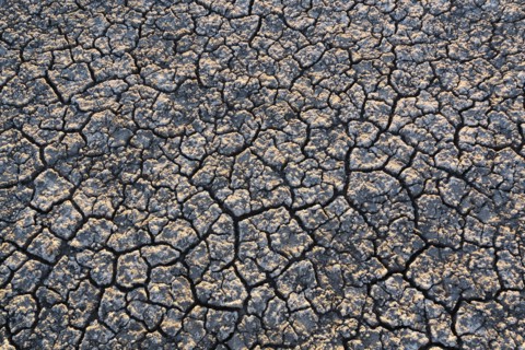 Overhead view of cracked desert