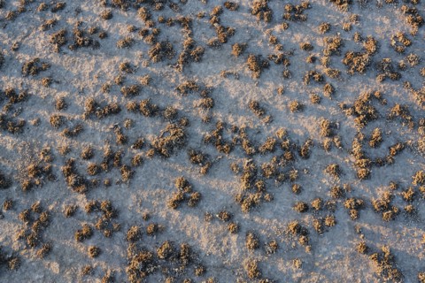 Aerial view of desert