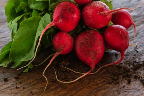 Bunch of red radishes on table