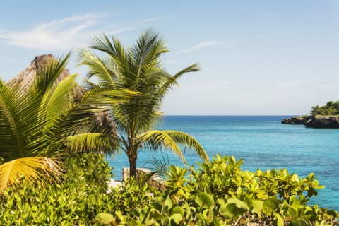 Jamaica, Negril, Palm trees against seascape