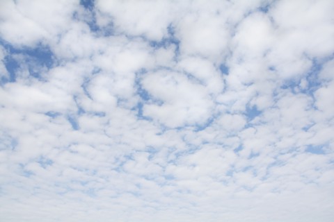 Altocumulus cloudscape