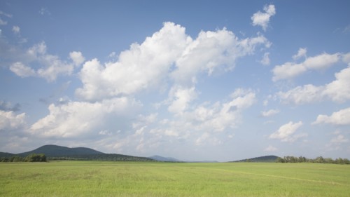 USA, New York State, Gabriels, Hay field in Northern Adirondacks