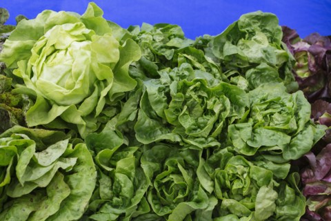 Stack of green lettuce at market