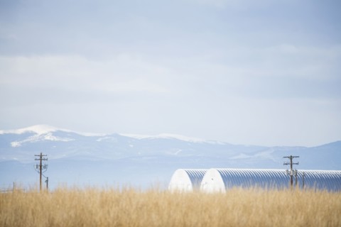 USA, Colorado, Agricultural landscape with snowcapped mountains in background
