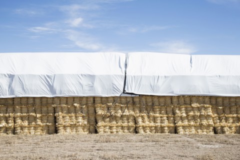 USA, Colorado, Stack of hay covered with tarpaulin