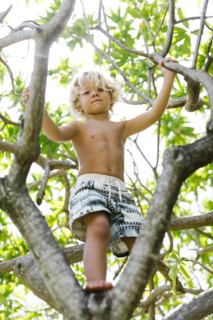 Boy (4-5) climbing on tree