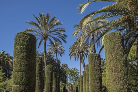 Spain, Andalusia, Seville, Formal gardens of Royal Alcazar