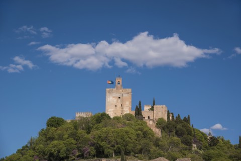Spain, Andalusia, Granada, Palace of Alhambra on hill