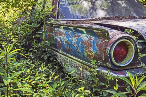USA, Rural Georgia, Abandoned car overgrown with weeds