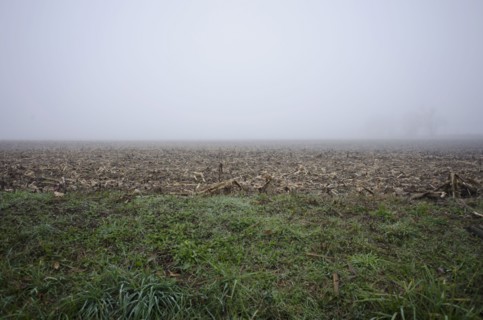 Foggy landscape