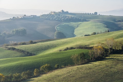 Italy, Tuscany, Castiglione D'orcia, Rolling landscape with autumn trees and plants