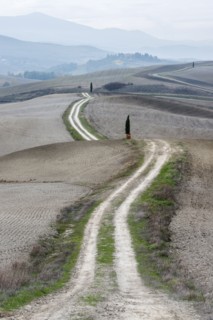Italy, Tuscany, San Quirico D'orcia, Long twisting rural road leading through endless gray fields and lonely cypress trees