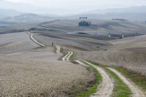Italy, Tuscany, San Quirico D'orcia, Long twisting rural road leading through endless gray fields and lonely cypress trees