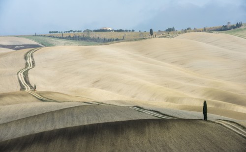 Italy, Tuscany, San Quirico D'orcia, Long twisting rural road leading through endless fields and lonely cypress tree